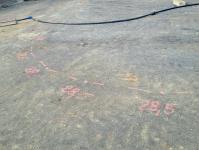 Imagine atasata: 20251031_153140.jpg